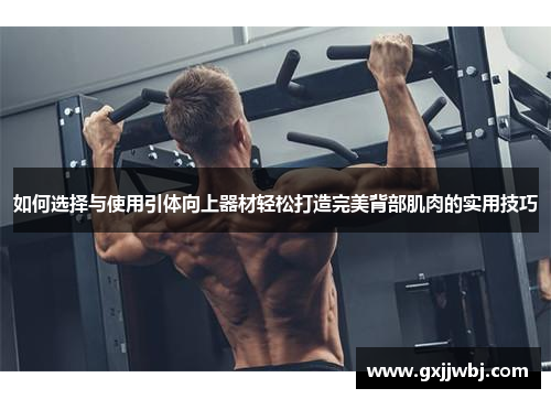 如何选择与使用引体向上器材轻松打造完美背部肌肉的实用技巧